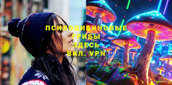 круглые Коряжма