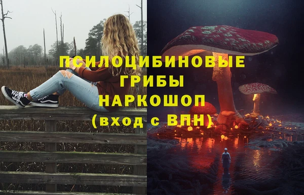 спиды Корсаков