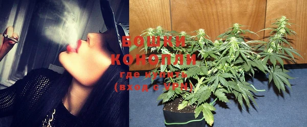 спиды Корсаков