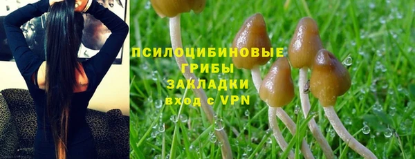 метадон Костерёво