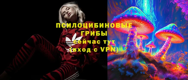 круглые Коряжма